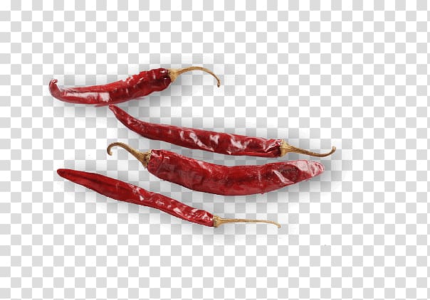 Chile de árbol Bird's eye chili Chili pepper Tabasco pepper Cayenne pepper, chilli flakes transparent background PNG clipart