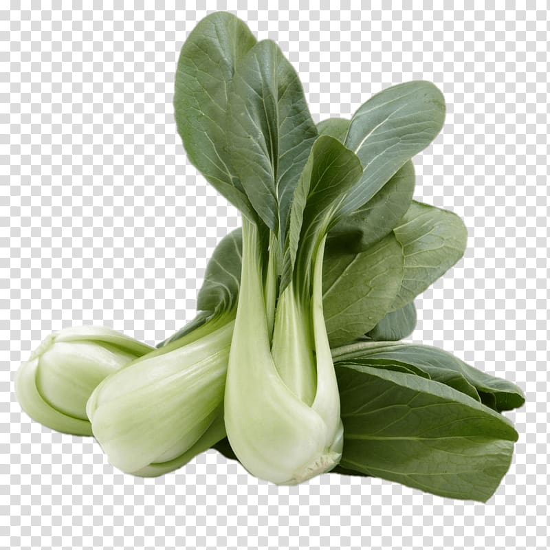 Chard Choy sum Cruciferous vegetables Spring greens Komatsuna, frozen vegetables transparent background PNG clipart