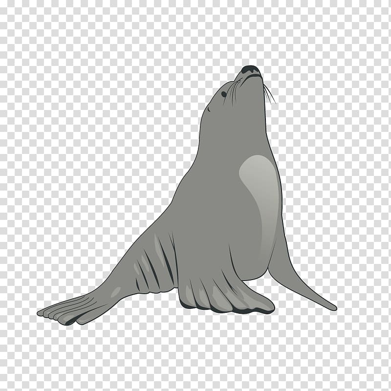 Earless seal Sea lion , Sea lions transparent background PNG clipart