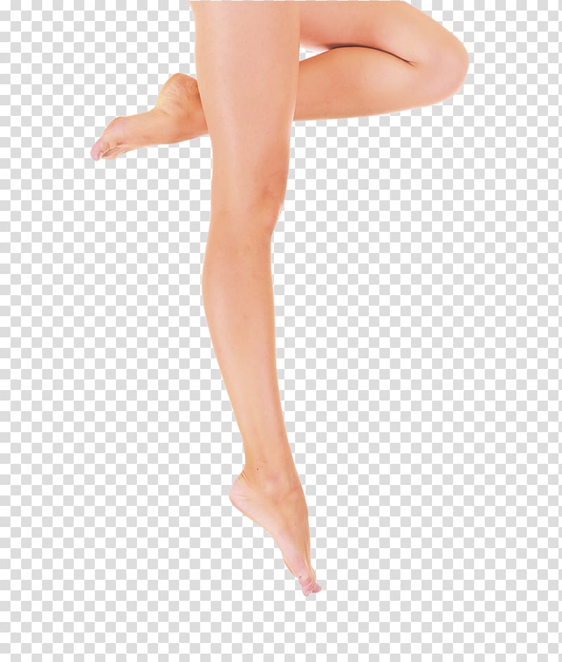 Legs transparent background PNG clipart