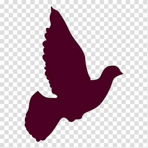 Columbidae Silhouette Doves as symbols , peace dove transparent background PNG clipart