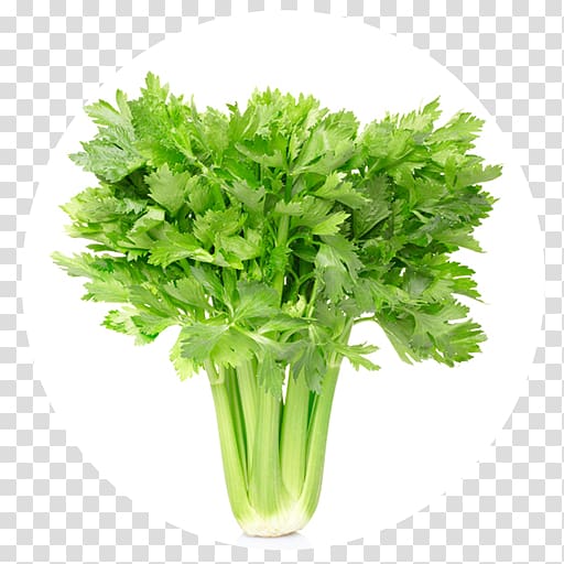 Juice Celery Eating Nutrition Vegetable, Celery transparent background PNG clipart