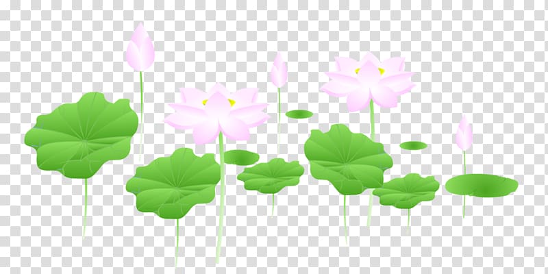 Nelumbo nucifera Lotus seed Computer Icons , durian 27 0 1 transparent background PNG clipart