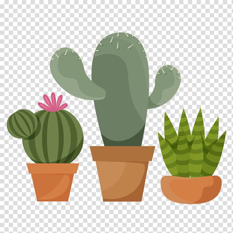 Cactaceae Succulent plant Prickly pear, Prickly pear transparent background PNG clipart