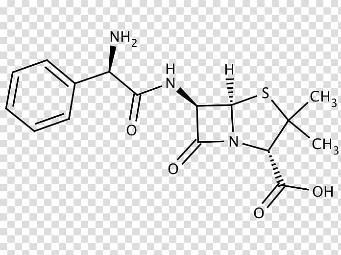 Ampicillin/sulbactam Antibiotics Phenoxymethylpenicillin, others transparent background PNG clipart