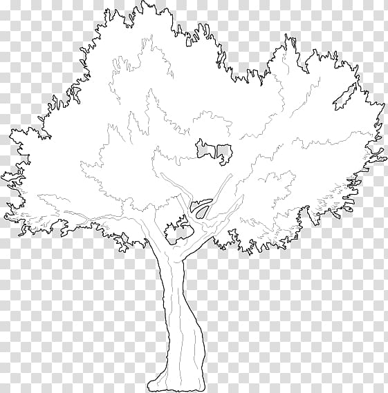 Twig Line art /m/02csf Drawing Plant stem, mangrove tree transparent background PNG clipart