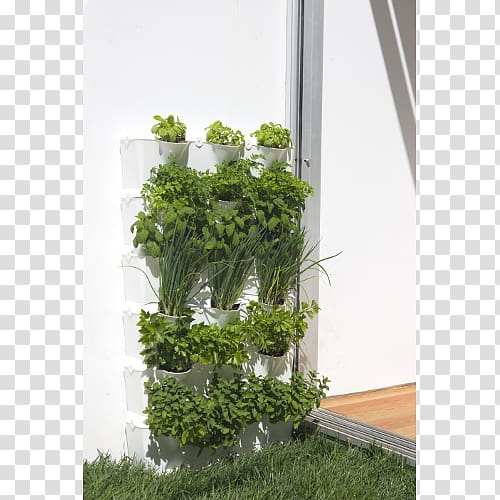 Flowerpot Kitchen garden Houseplant Bertikal, vertical garden transparent background PNG clipart