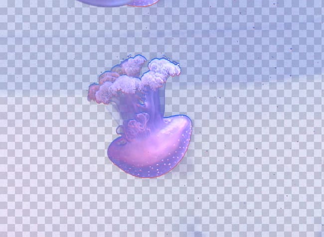 Purple Computer , Dream jellyfish transparent background PNG clipart