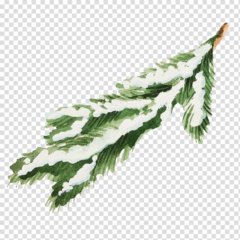 Snow Leaf Illustration, Snow-covered pine leaves illustration transparent background PNG clipart