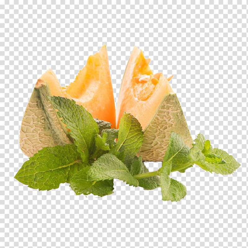 Honeydew Hami melon Juice Cantaloupe, Melon transparent background PNG clipart