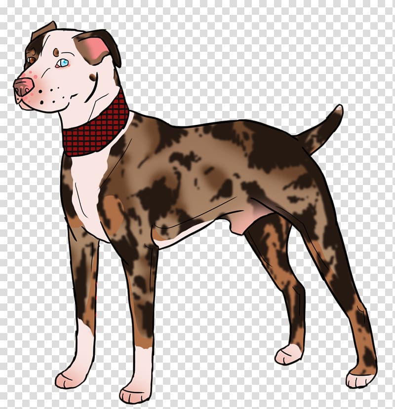 Dog breed American Pit Bull Terrier Art, catahoula transparent background PNG clipart