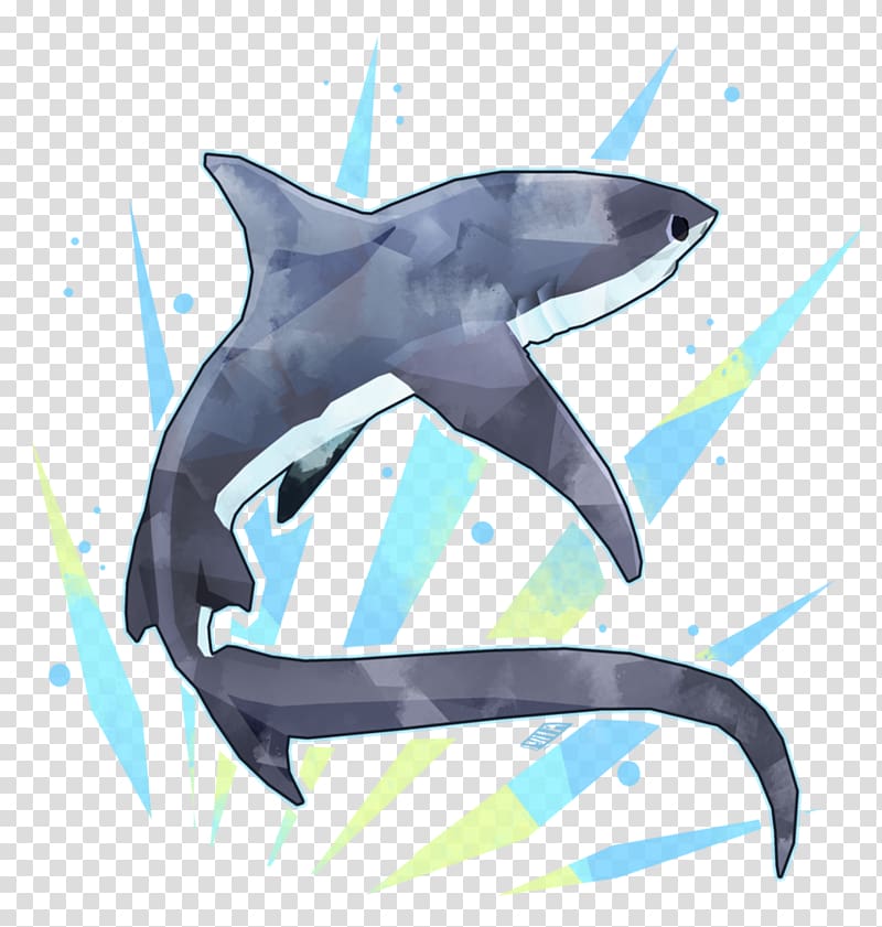 Tiger shark Pelagic thresher Common thresher Drawing, sharks transparent background PNG clipart