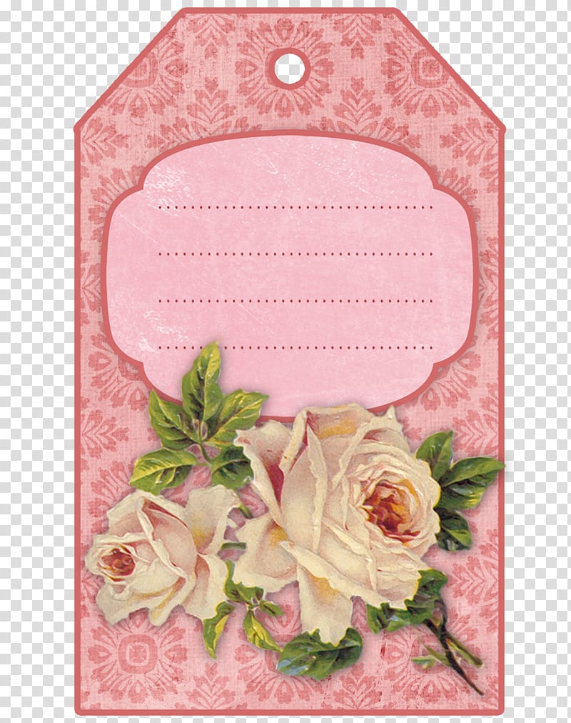 Centifolia Roses Garden Floral Design Pink Cut Flowers Hand-painted Flower  - Design - Sticker