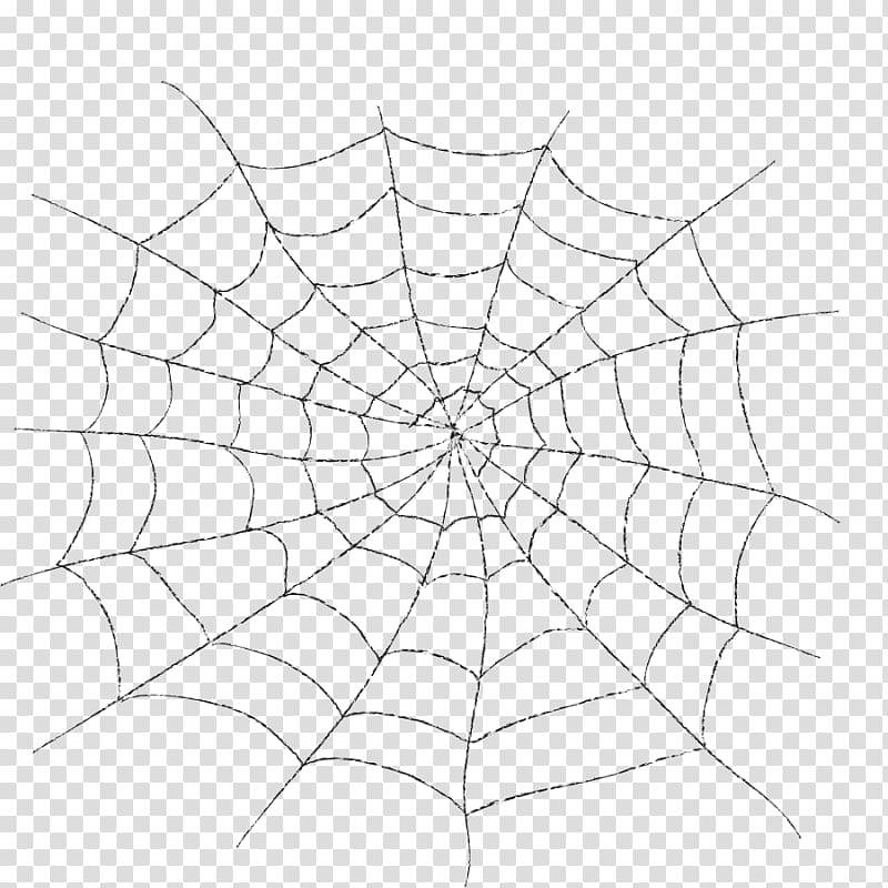 Spider web Line Geometry, spider transparent background PNG clipart