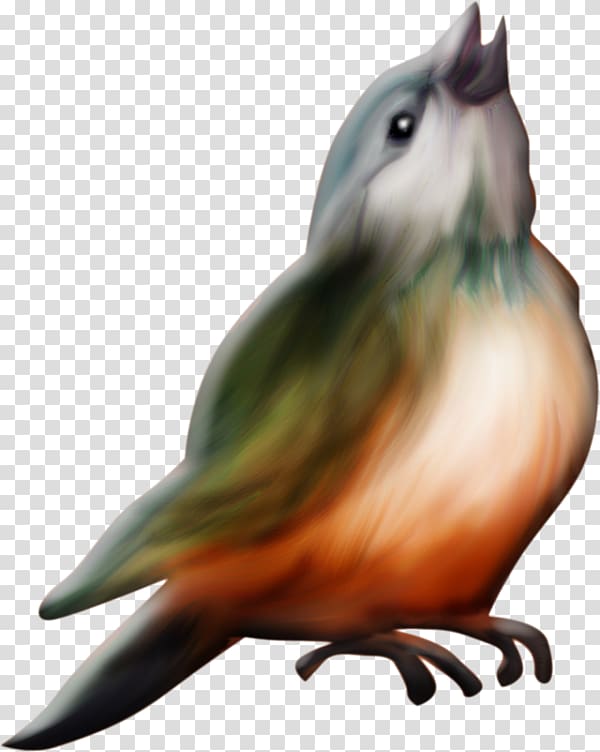 Bird Lark Beak, Painted bird perspective transparent background PNG clipart