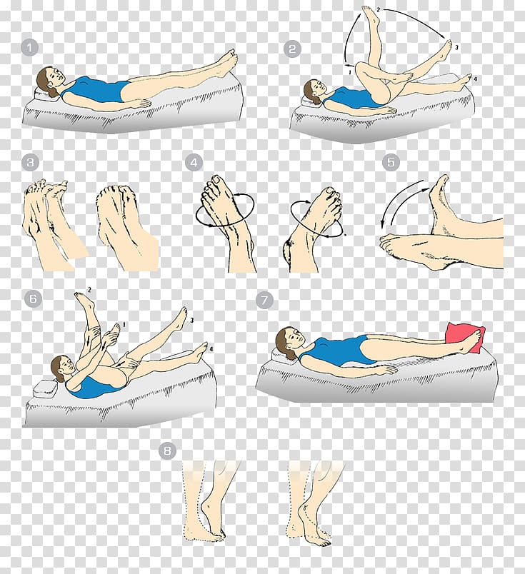 Exercise Hygiene Physical activity Vein Plyometrics, Varices transparent background PNG clipart