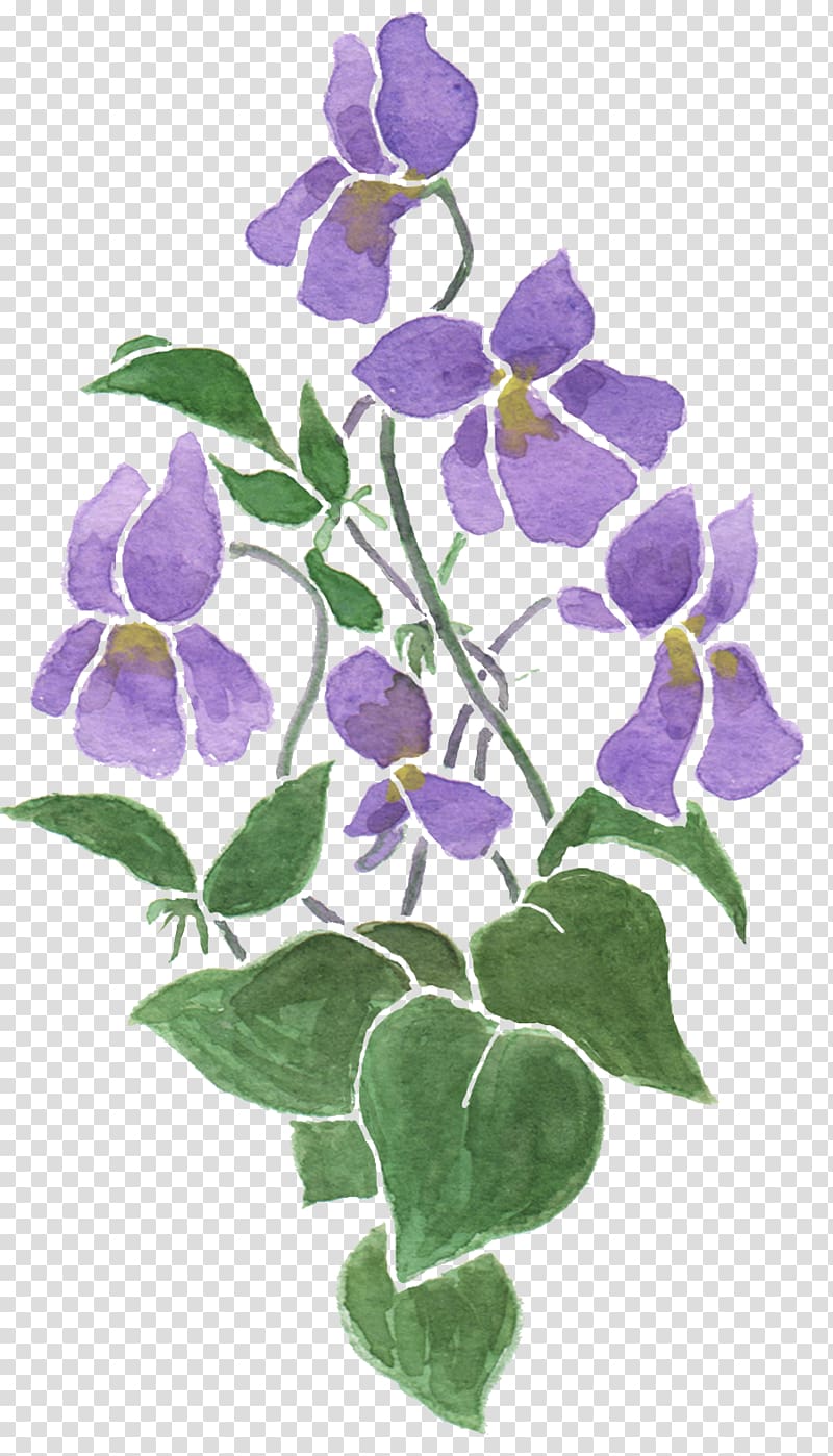 Cloth Napkins Sweet violet Flower Drawing, violet transparent background PNG clipart