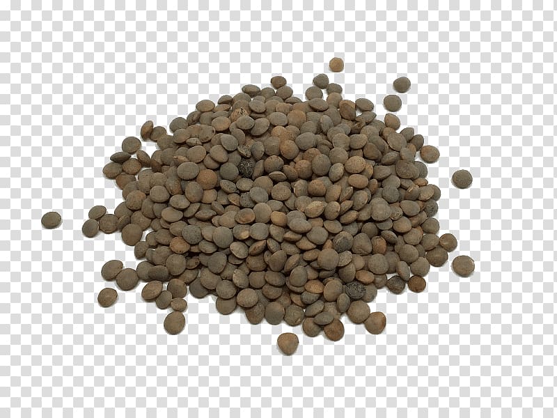 Cocido Lentil Lenteja pardina Legume Lenteja verdina, caviar transparent background PNG clipart