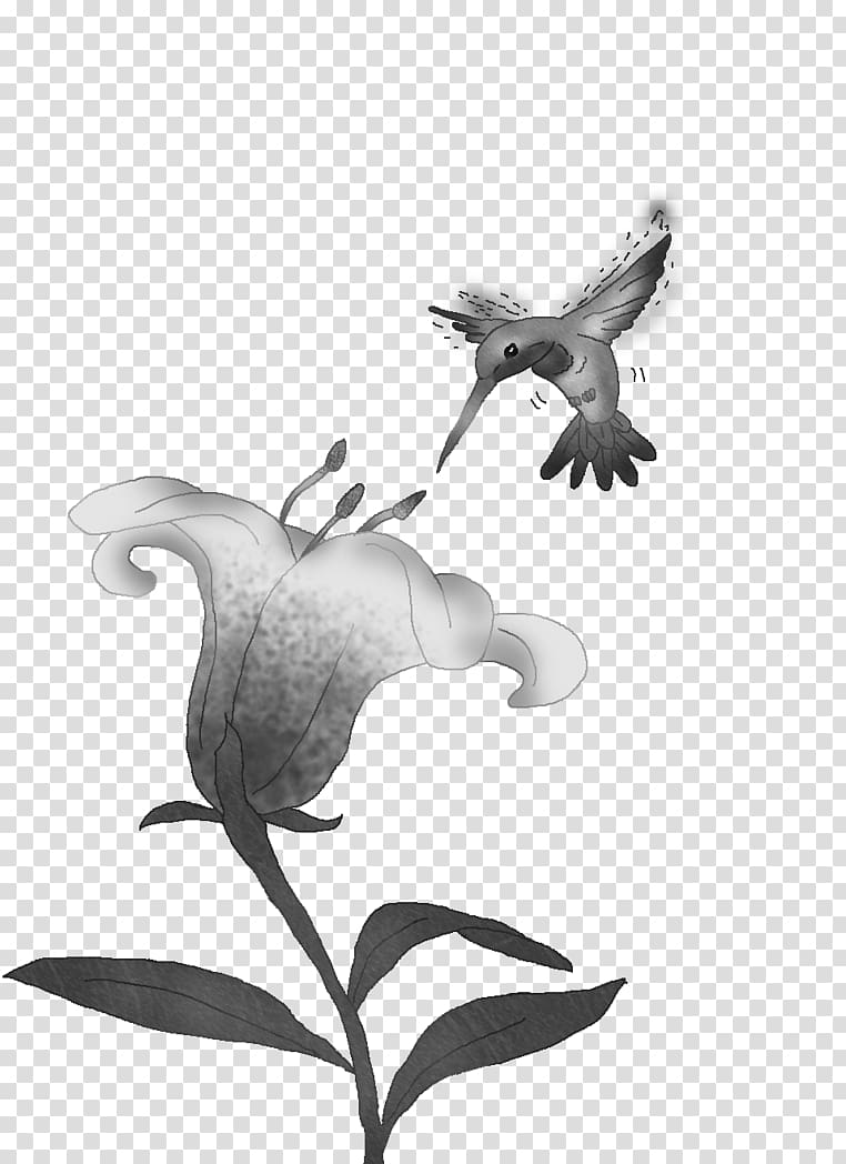 Beak Cygnini Goose Duck Anatidae, bird Black And White transparent background PNG clipart