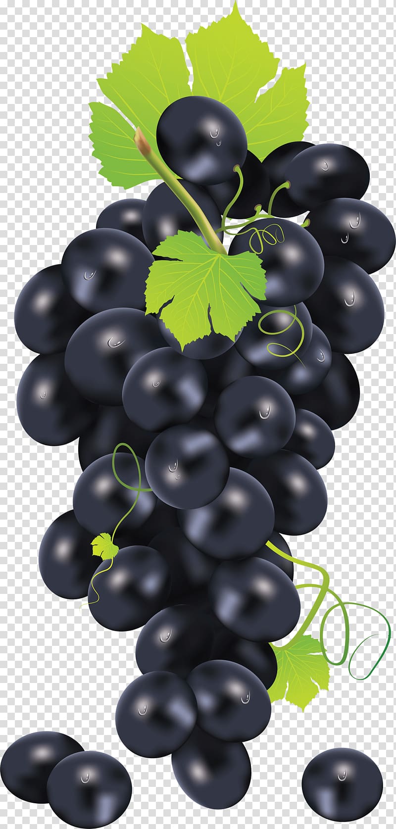 Common Grape Vine , Black Grape transparent background PNG clipart