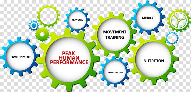 Human Performance Human Benchmark Technology Information Organization, technology transparent background PNG clipart