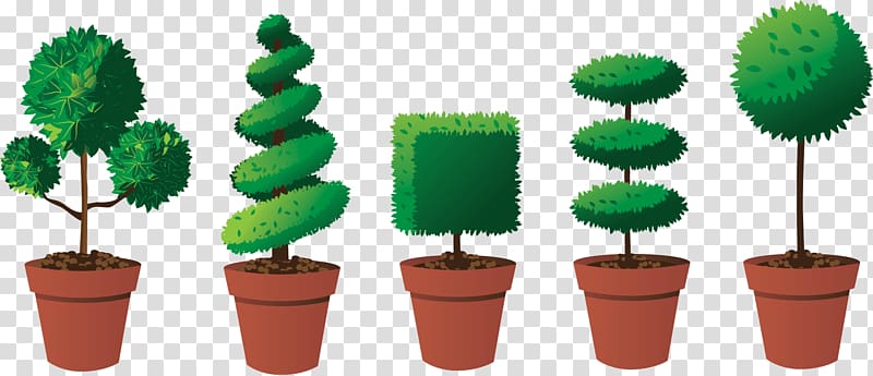 Topiary Pruning Tree Box Hedge, plants transparent background PNG clipart