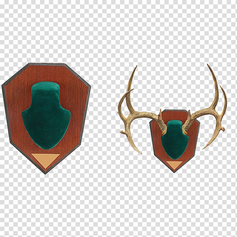 Antler Horn Deer Clothing Accessories Skull mounts, Antler transparent background PNG clipart
