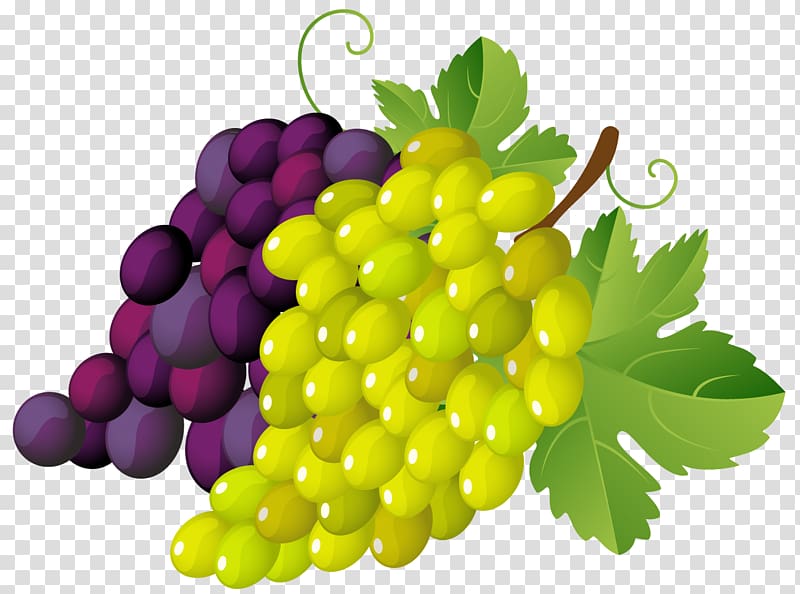 bunch of grapes , Grapevines .xchng , Painted Grapes transparent background PNG clipart
