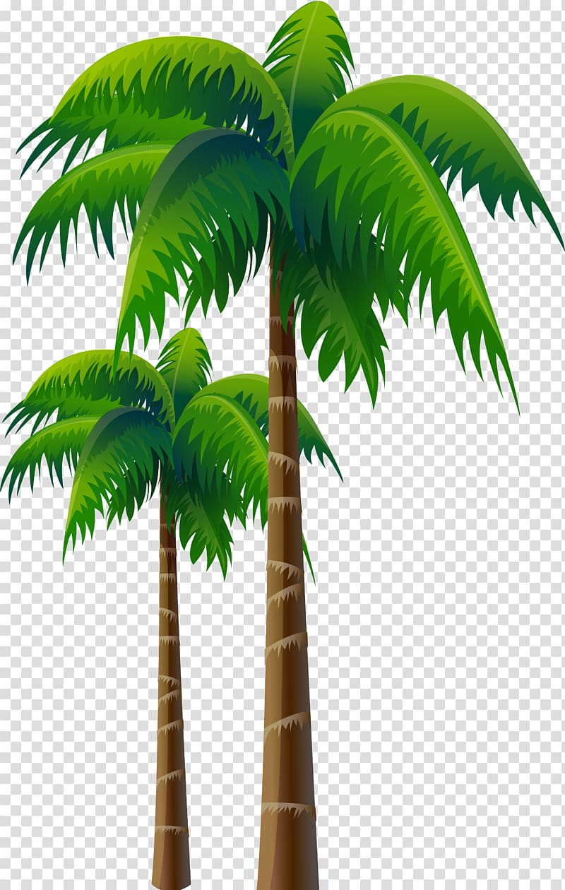 Arecaceae Coconut Tree Woody plant, palms transparent background PNG clipart