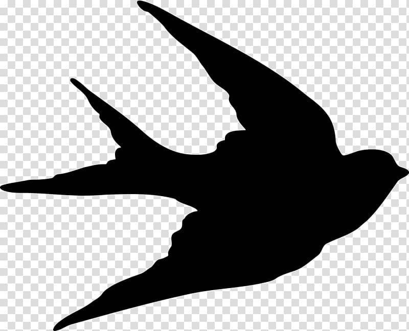 Bird Sparrow Swallow Silhouette , sparrow transparent background PNG clipart
