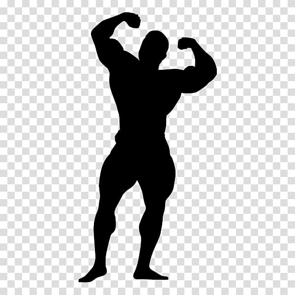 Bodybuilding Fitness Centre Physical fitness Exercise Barbell, bodybuilding transparent background PNG clipart