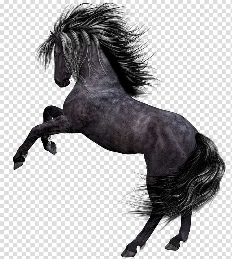 Dark horse transparent background PNG clipart | HiClipart