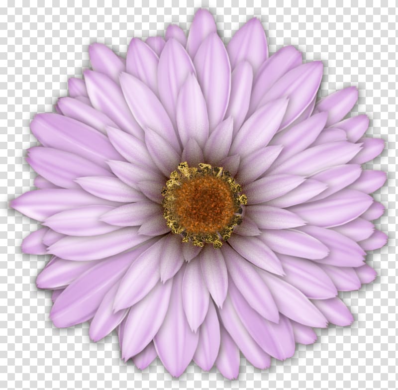 Flower Art Watercolor painting , dahlia transparent background PNG clipart