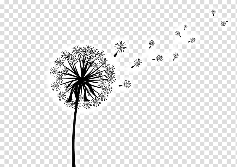 graphics Dandelion coffee, dandelion transparent background PNG clipart