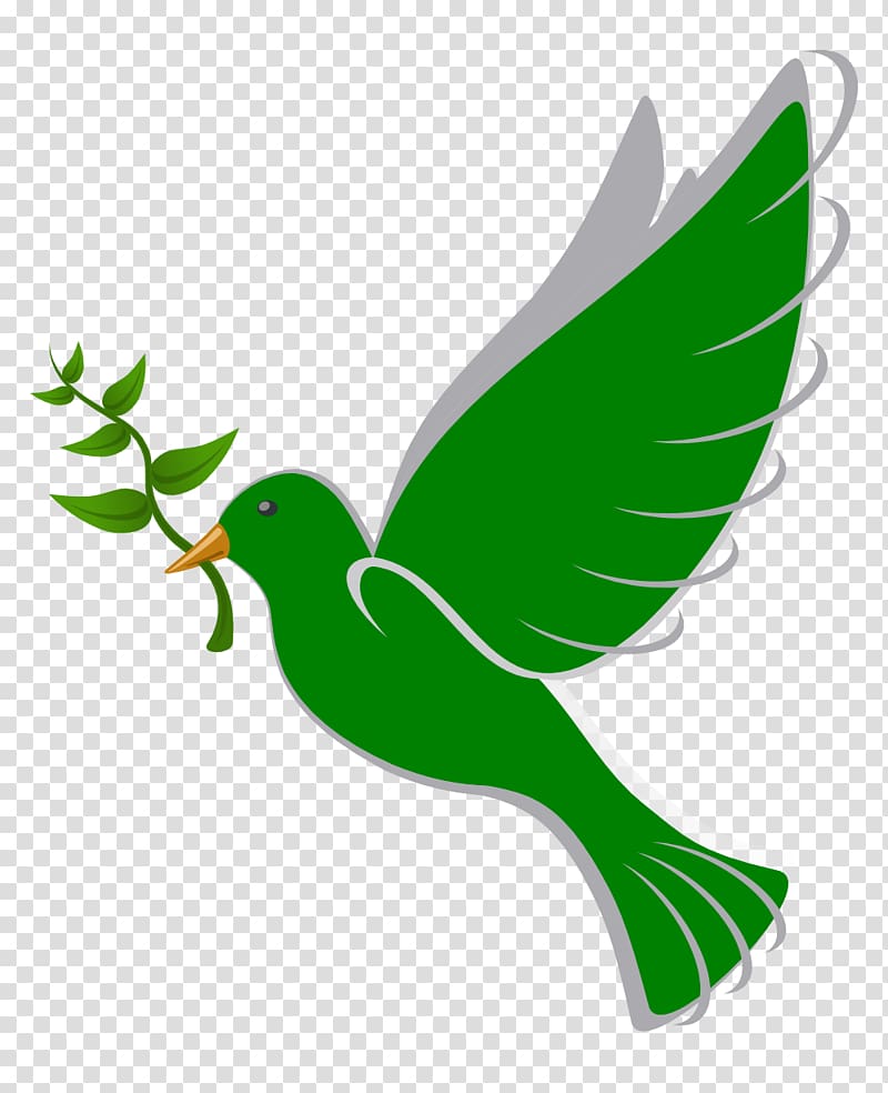 Columbidae Bird Peace Doves as symbols , Peace Dove transparent background PNG clipart