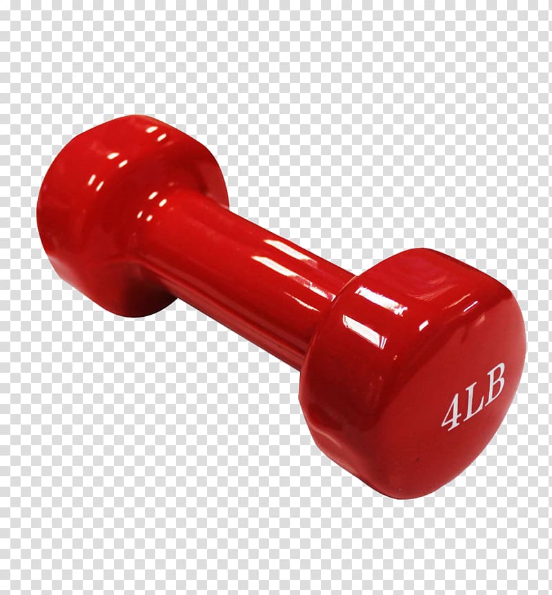 Dumbbell Weight training Exercise equipment Barbell Physical fitness, flamingo transparent background PNG clipart