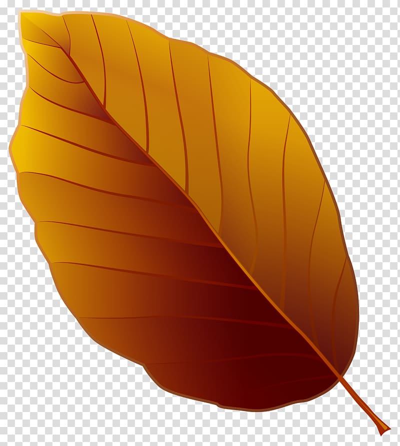 brown leaf clipart