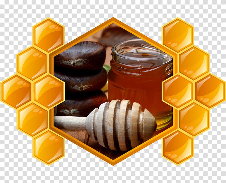 Honey Chestnut Food Wine Fotolia, honey transparent background PNG clipart