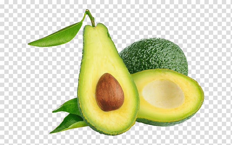 Avocado oil Eating Fruit, avocado transparent background PNG clipart