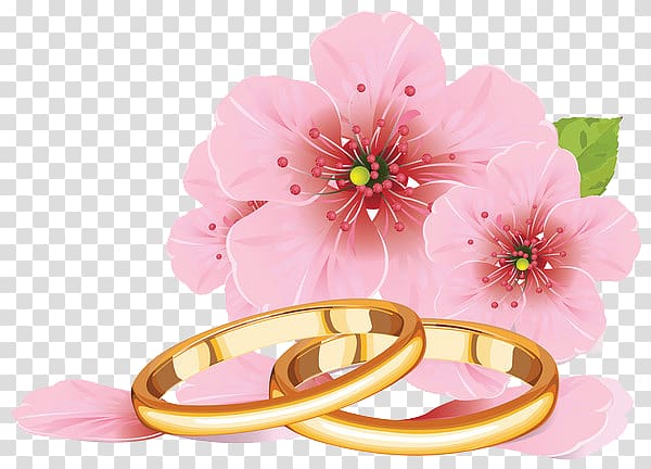 Wedding invitation Ring , Hand-painted pink hibiscus with gold rings transparent background PNG clipart