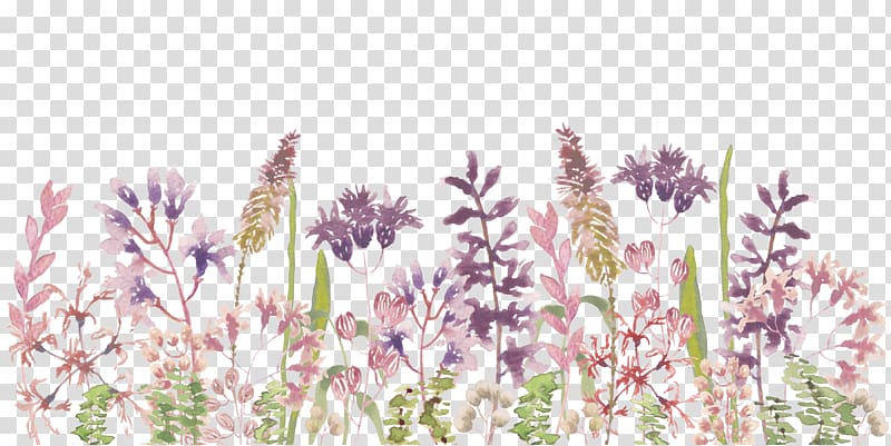 Wildflower transparent background PNG cliparts free download | HiClipart