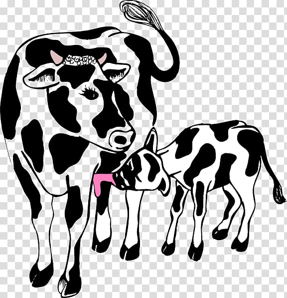Angus cattle Beef cattle Calf , Calf transparent background PNG clipart
