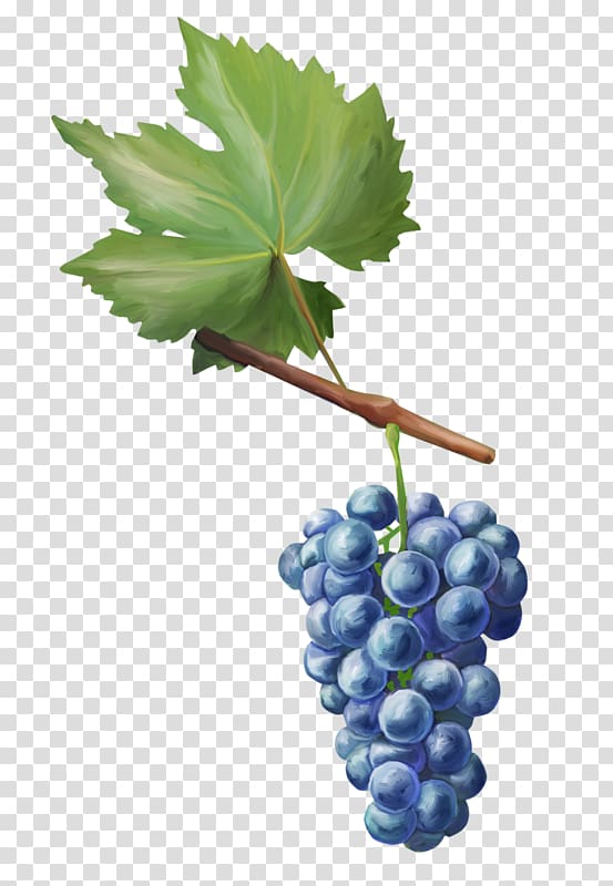 Grape Paper Decoupage Auglis, grape transparent background PNG clipart