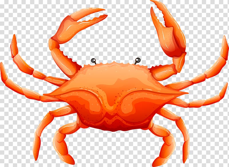 Crab Illustration, Cartoon crab transparent background PNG clipart