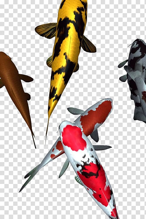 Koi Violence Weapon Riot Fish, zuchini transparent background PNG clipart
