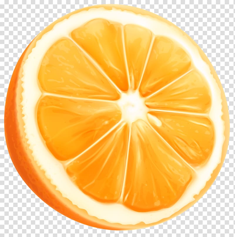 sliced orange fruit, Orange slice , Orange Slice transparent background PNG clipart