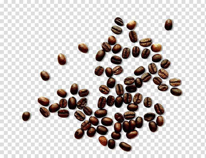 Coffee bean, Brown coffee beans transparent background PNG clipart