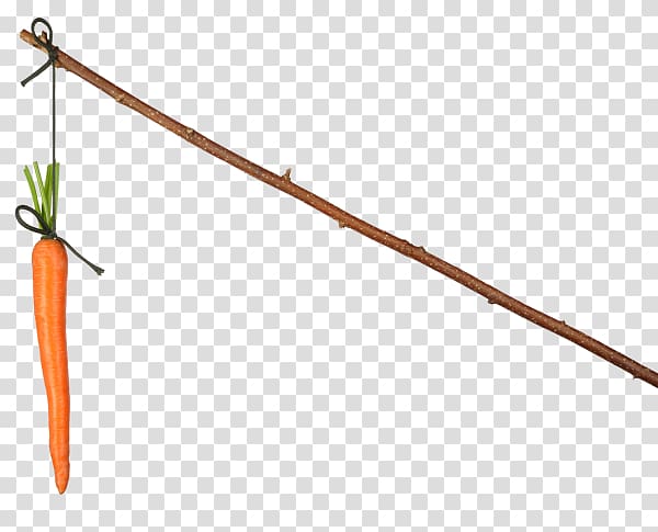 Carrot and stick , transparent background PNG clipart