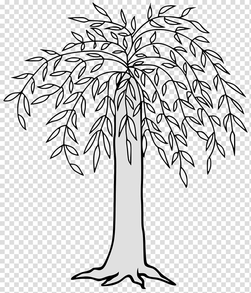 Visual arts Weeping willow, willow tree transparent background PNG clipart