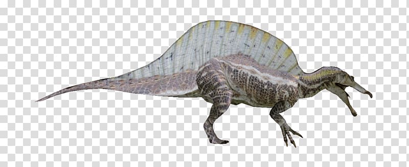 Tyrannosaurus Spinosaurus Kaprosuchus Pachyrhinosaurus Dinosaur size, dinosaur transparent background PNG clipart